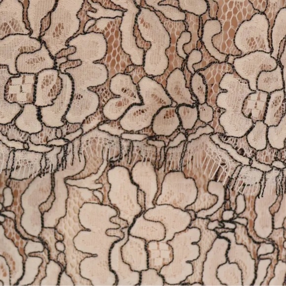 ANTONIO MELANI ☆ Emma Pink Two-Tone Lace Overlay Sleeveless Dress - Picture 6 of 7